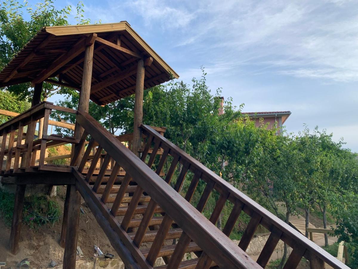 Quinta Das Ameixas - Country & Nature อาโรว์กา ภายนอก รูปภาพ