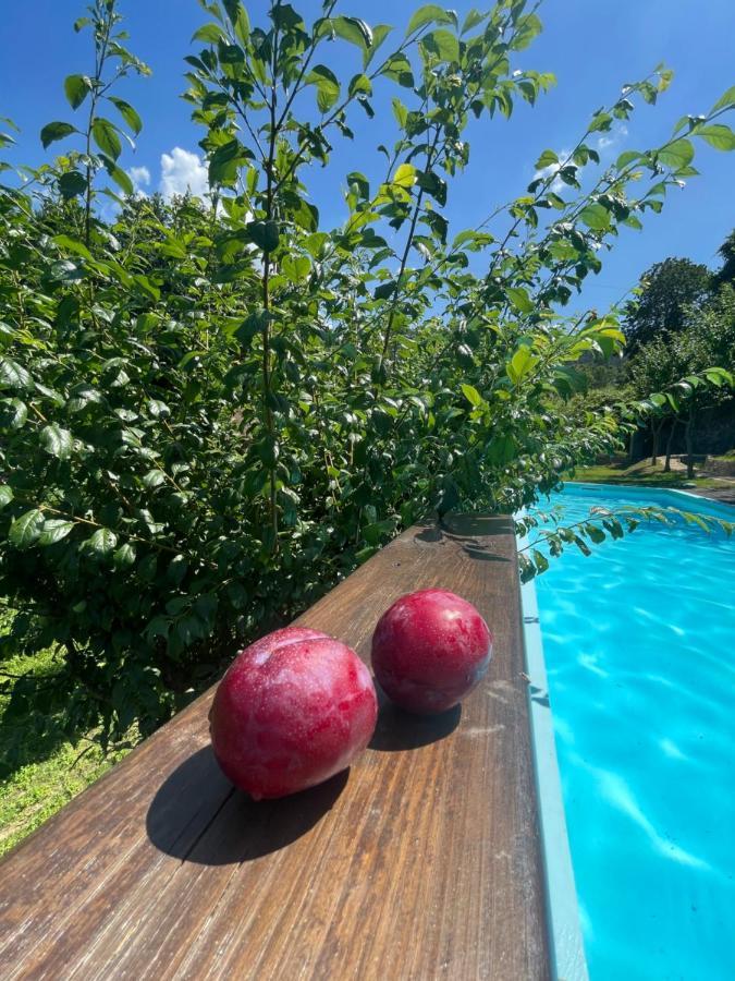 Quinta Das Ameixas - Country & Nature อาโรว์กา ภายนอก รูปภาพ