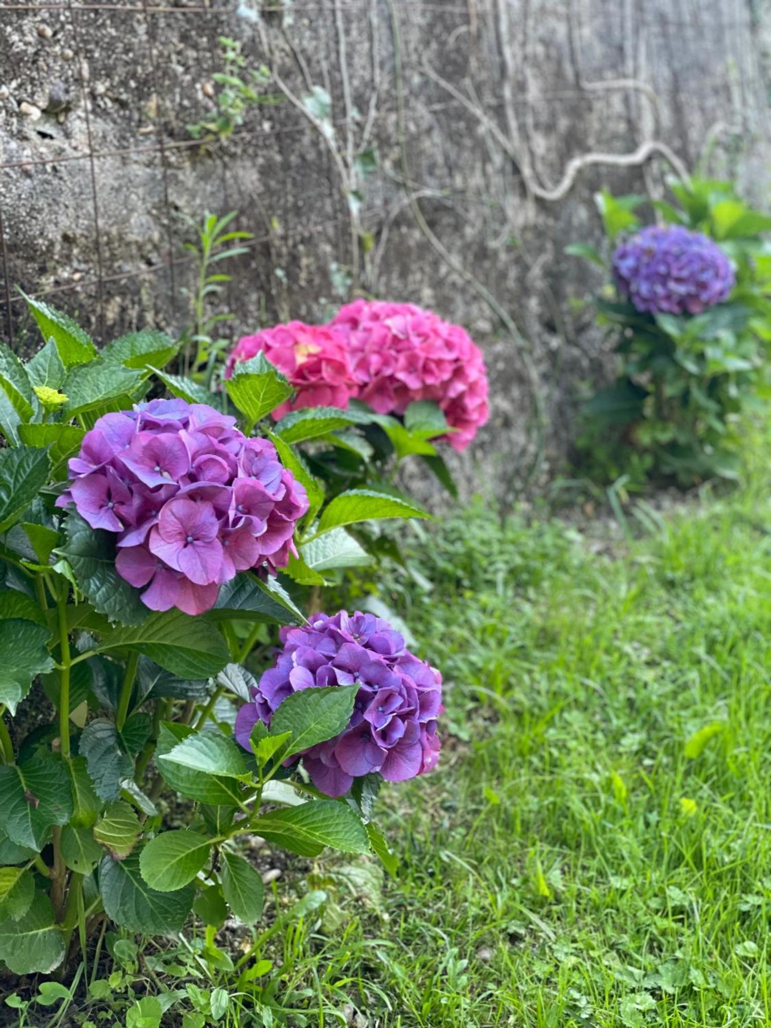 Quinta Das Ameixas - Country & Nature อาโรว์กา ภายนอก รูปภาพ