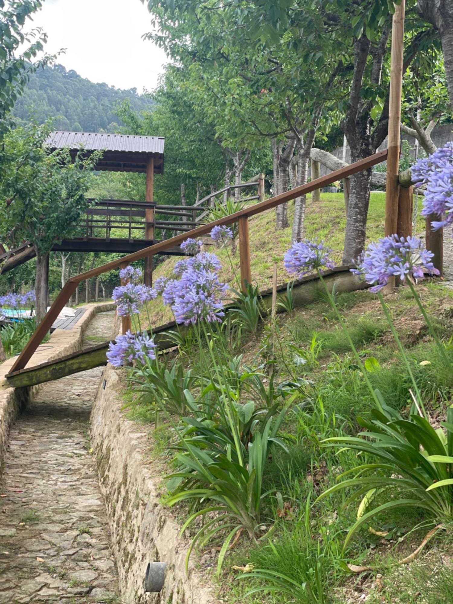 Quinta Das Ameixas - Country & Nature อาโรว์กา ภายนอก รูปภาพ
